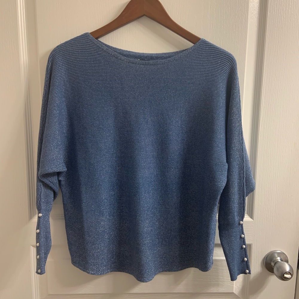 Blue/silver sweater